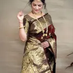 Banita Fashionable Sarees