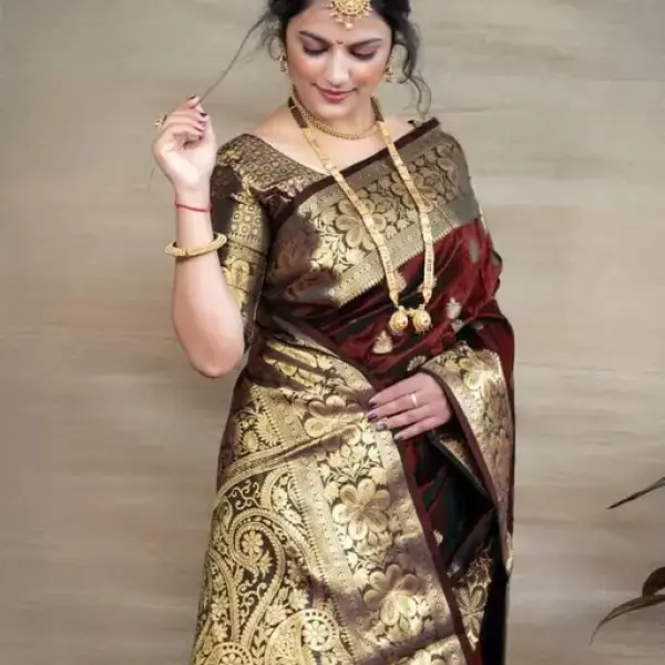 Banita Fashionable Sarees