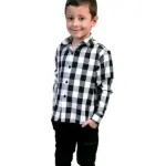 Modern Classy Boys Shirts