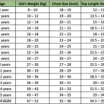 Princess Classy Boys Shirts